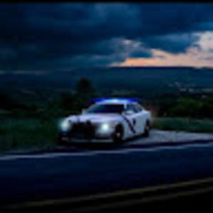 Meet your Posher, Max